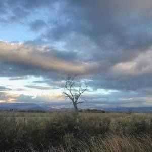 Meet your Posher, Dawn